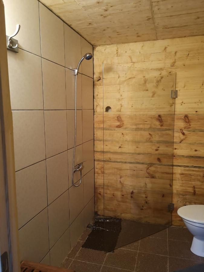 Brivdienu Maja "Raudini" Kaltene Exteriér fotografie
