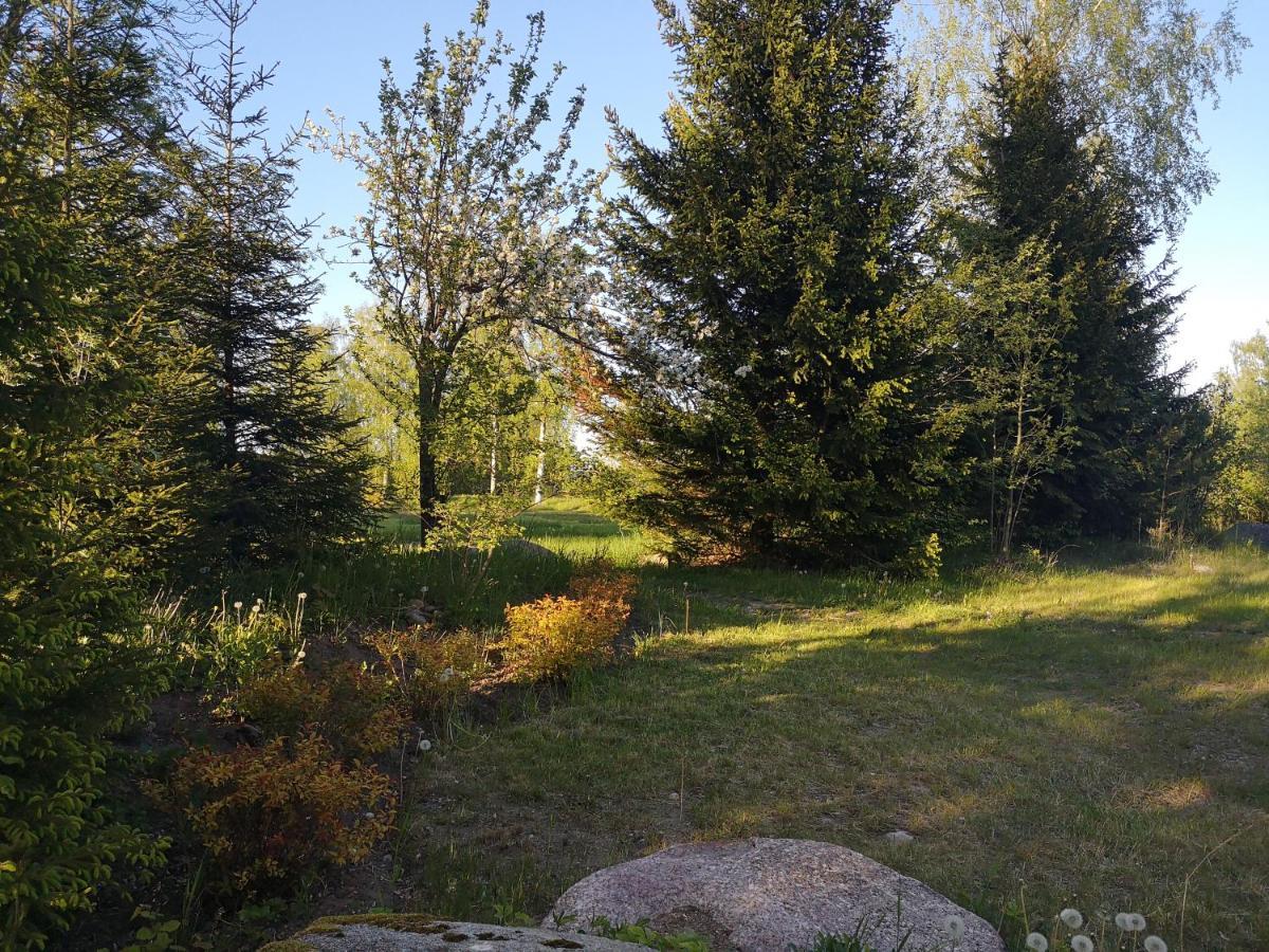 Brivdienu Maja "Raudini" Kaltene Exteriér fotografie