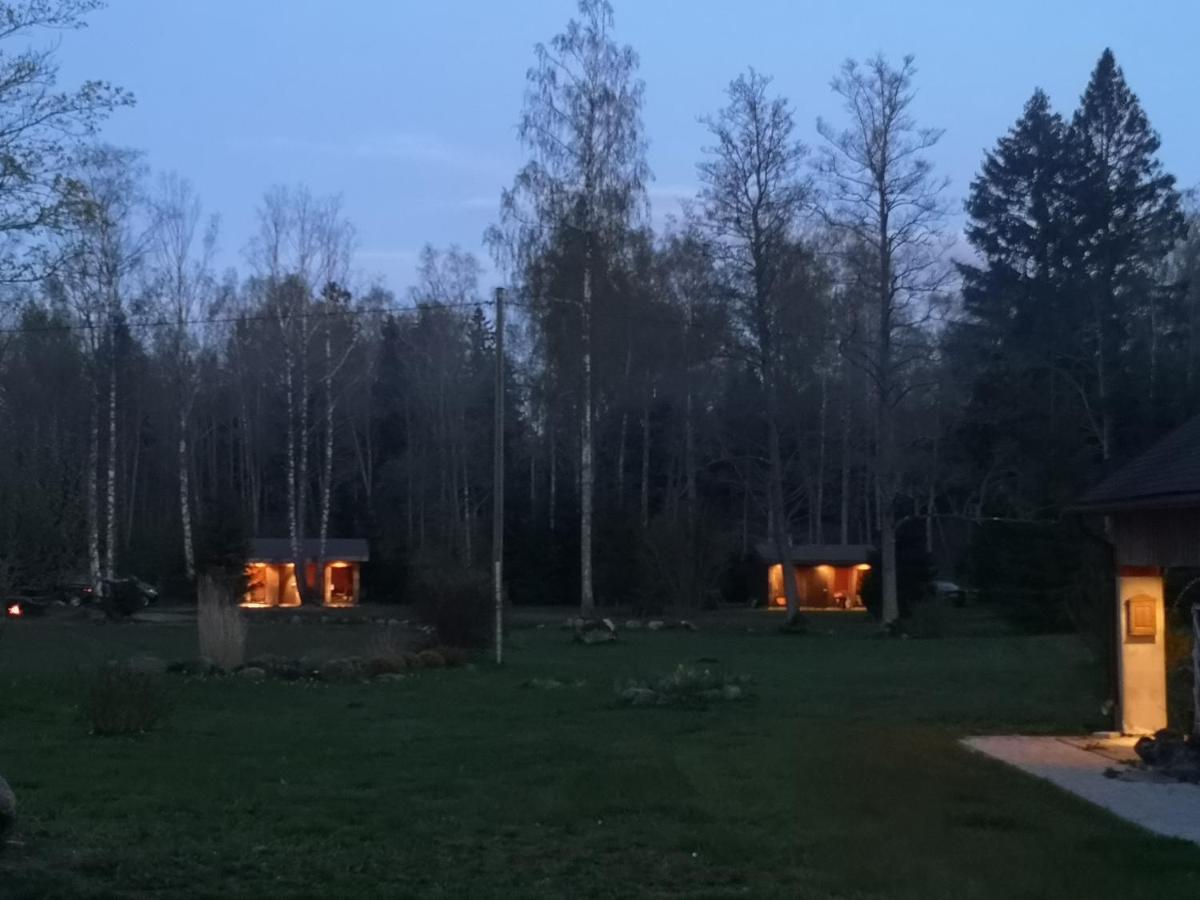 Brivdienu Maja "Raudini" Kaltene Exteriér fotografie