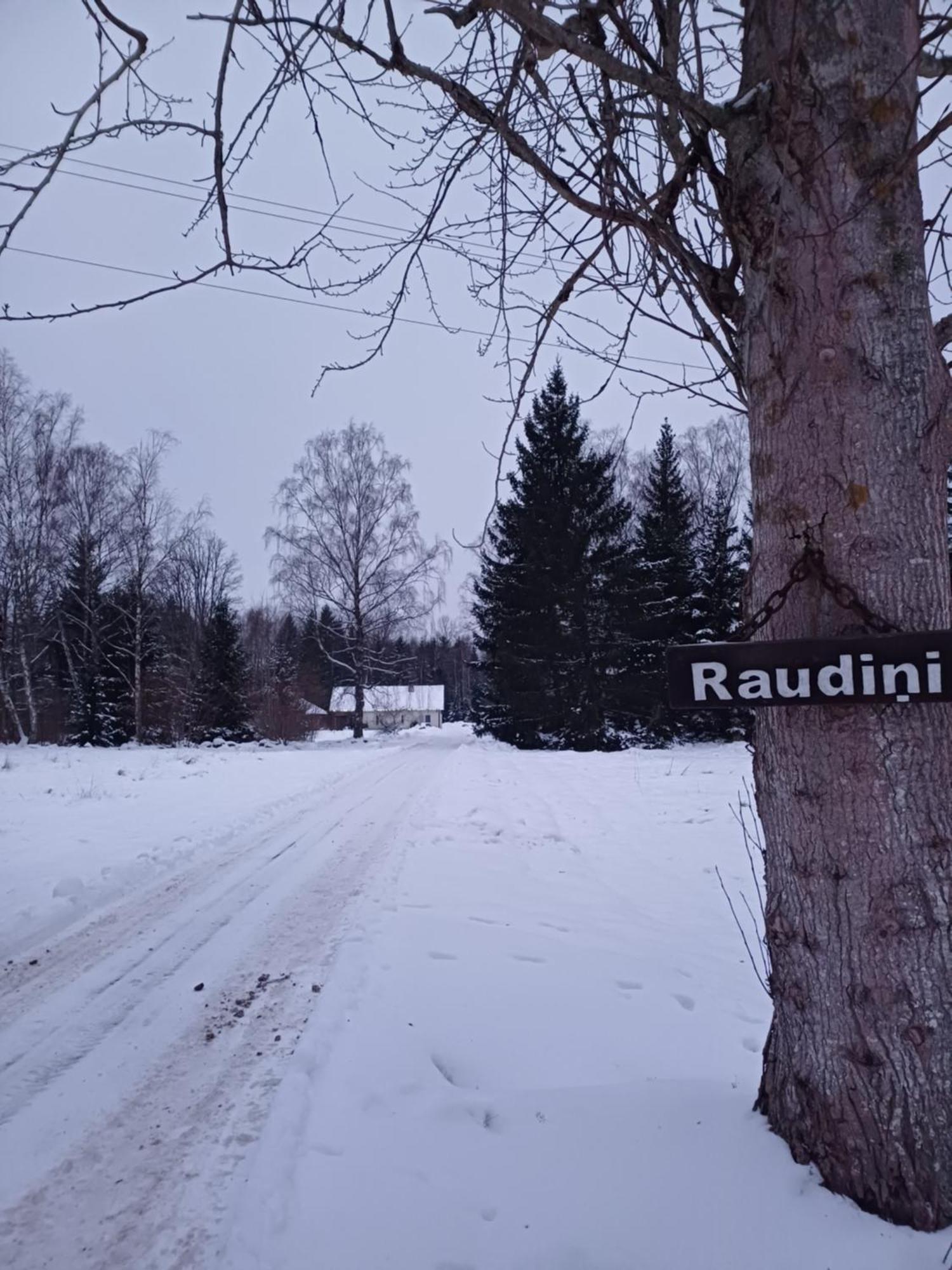 Brivdienu Maja "Raudini" Kaltene Exteriér fotografie