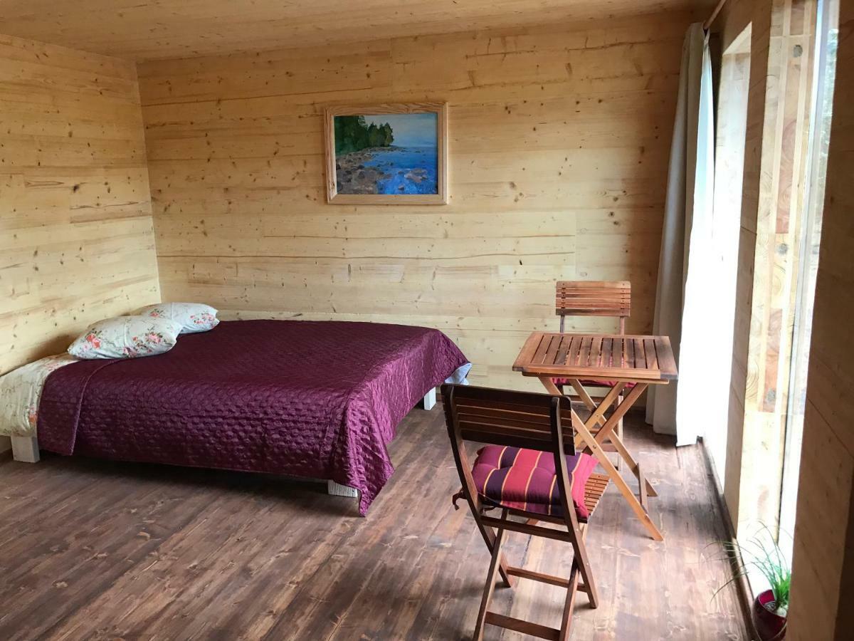 Brivdienu Maja "Raudini" Kaltene Exteriér fotografie